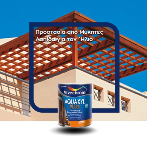 Συντηρητικό Εμποτισμού Ξύλου Νερού Aquaxyl Plus Vivechrom