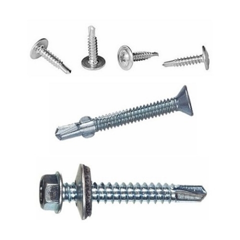 Τρυπανόβιδες